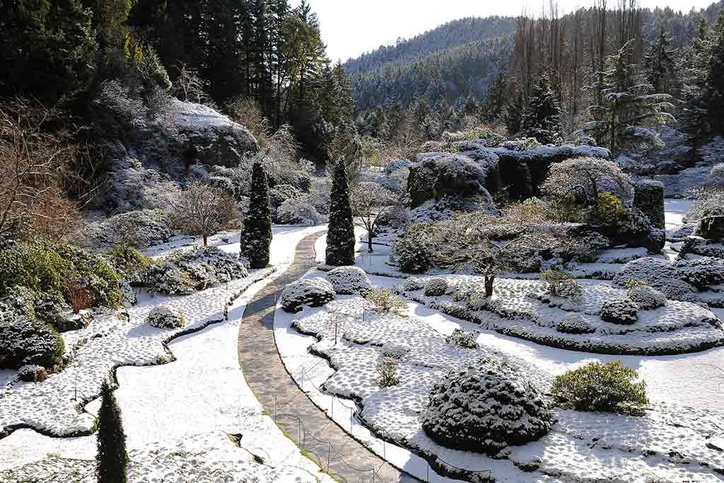 A layer of snow transforms The Gardens in a magical wonderful. Credit: The Butchart Gardens