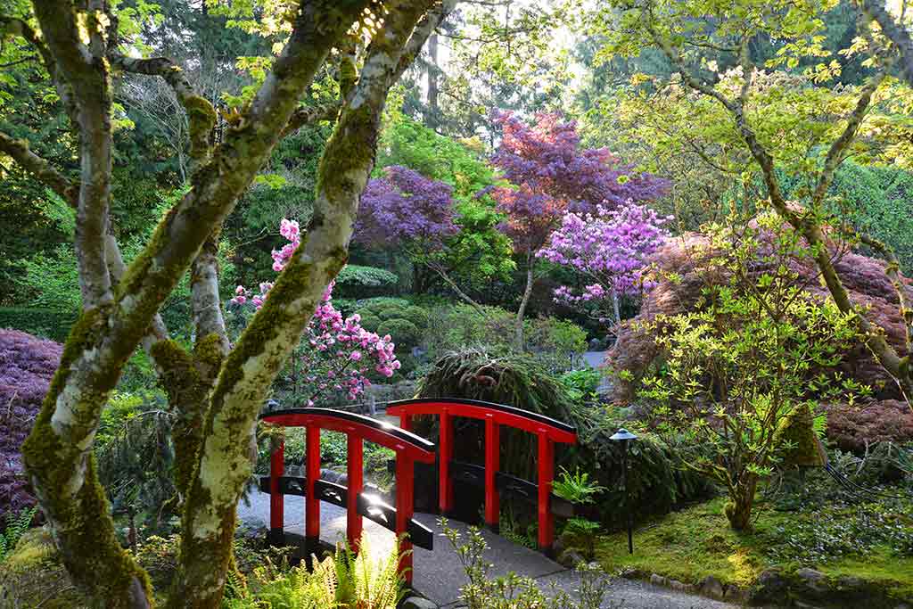 With trickling streams and moss covered grounds, the Japanese Garden is a quiet haven within The Butchart Gardens. Credit: The Butchart Gardens