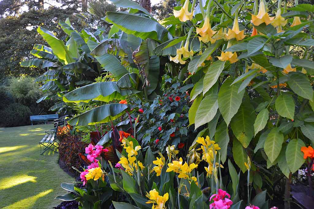 Wander through a collection of unique plants in the Mediterranean Garden. Credit: The Butchart Gardens