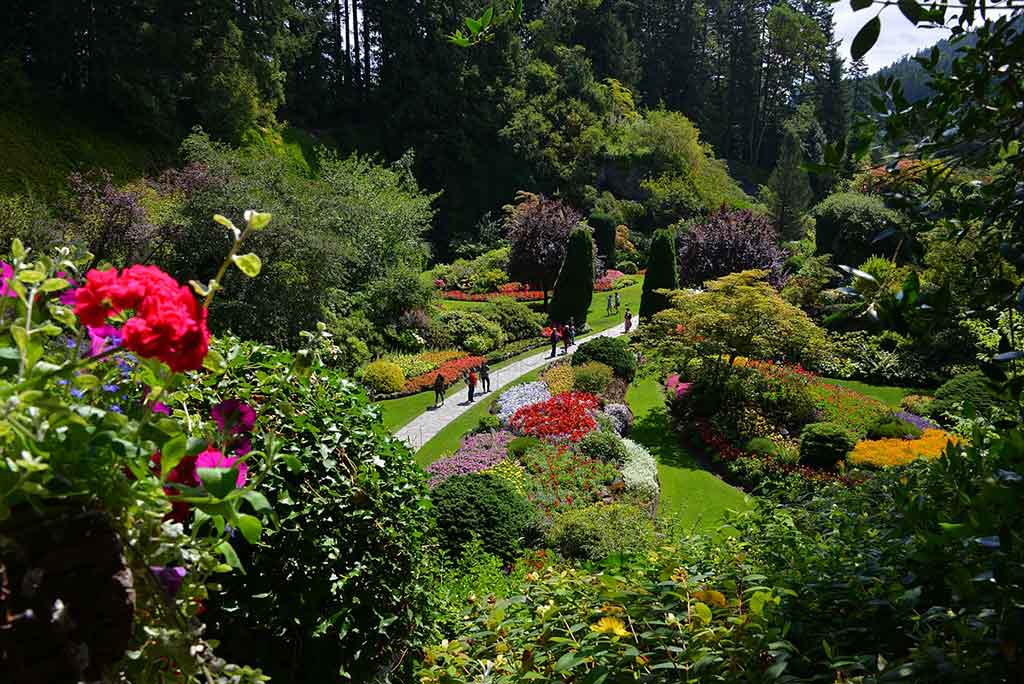 This former limestone quarry has blossomed into a glorious garden. Credit: The Butchart Gardens