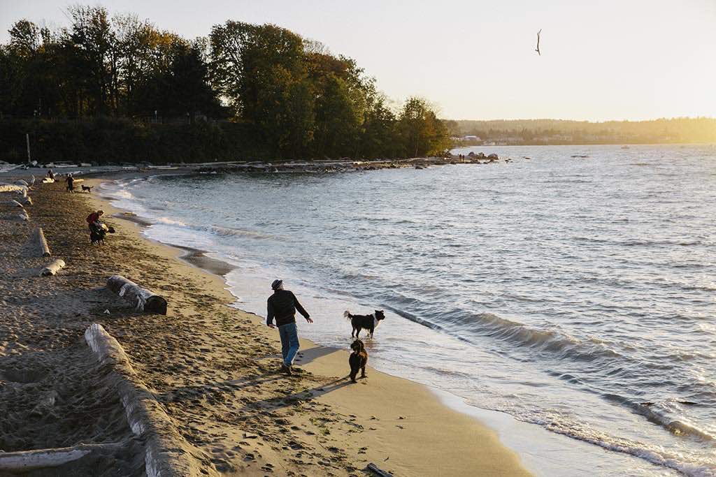 Stroll the rugged shores of Vancouver's coastline at Hadden Park. Photo: Destination BC