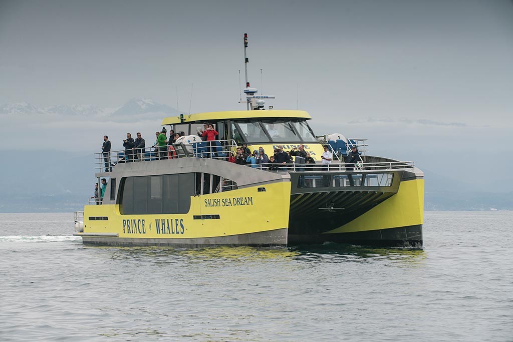 Hop aboard the Salish Sea Dream for the most adventurous way to travel between Vancouver and Victoria! Credit: Prince of Whales