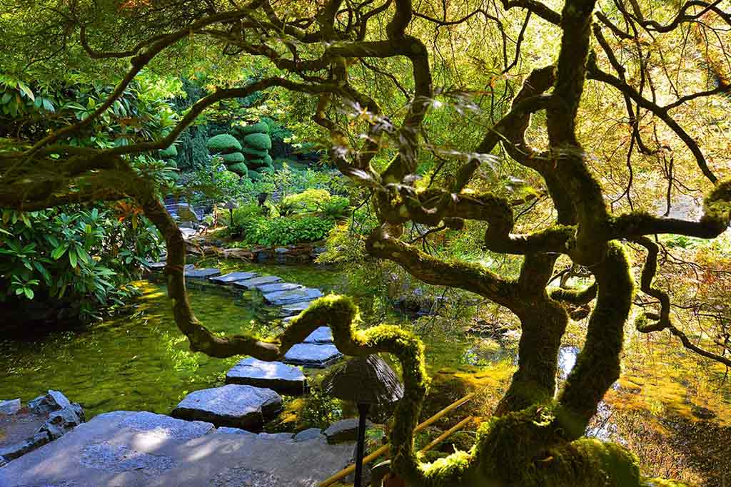With trickling streams and moss covered grounds, the Japanese Garden is a quiet haven within The Butchart Gardens. Credit: The Butchart Gardens