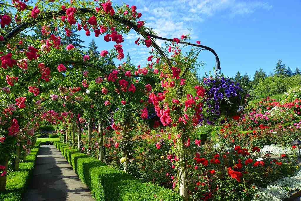 The Butchart Gardens – Victoria, Canada – Visiting in the Summer