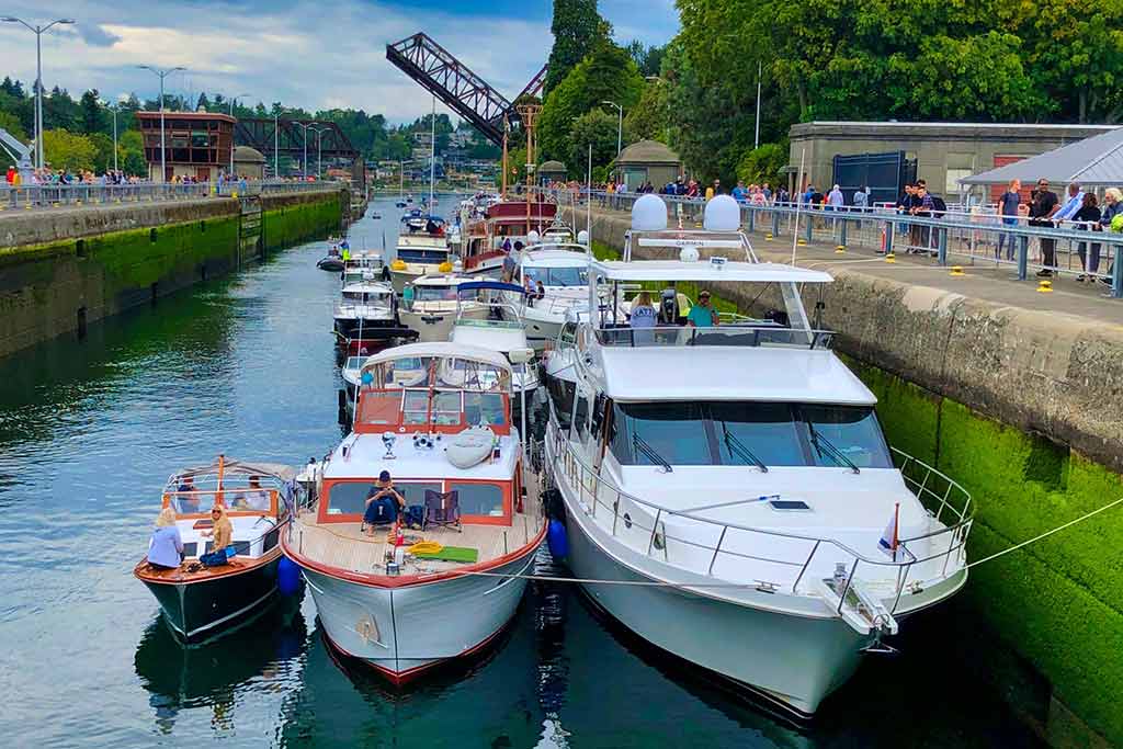 Experience where the freshwater of Lake Washington meets the briny saltwater of Puget Sound at the Hiram Chittenden Locks