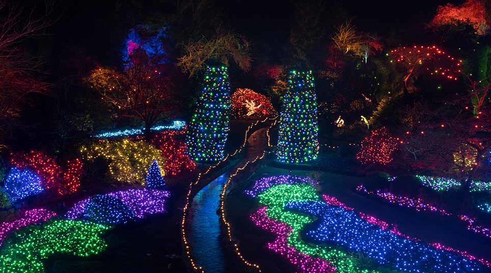 Pathways, flower beds, trees and shrubs are all adorned in Christmas lights. Credit: The Butchart Gardens