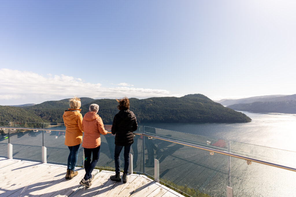 Get a bird's-eye view of Vancouver Island. Credit: Malahat Skywalk 