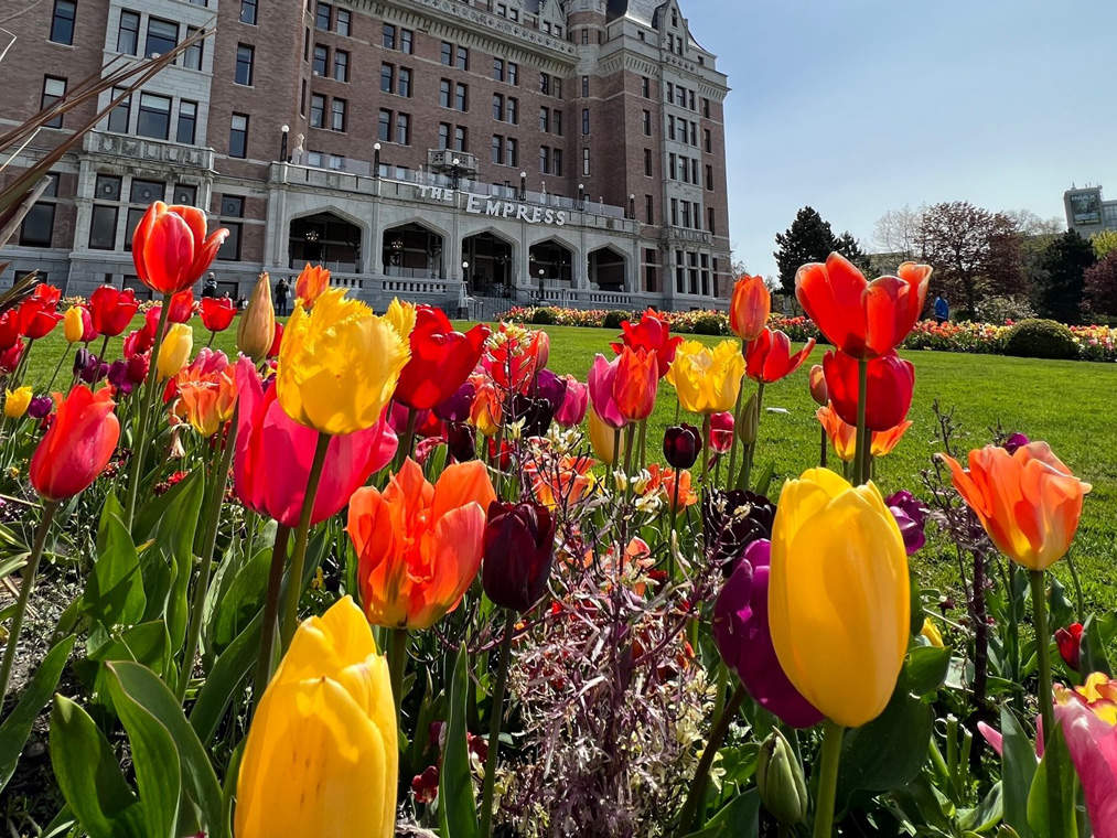 Victoria BC Mother's Day