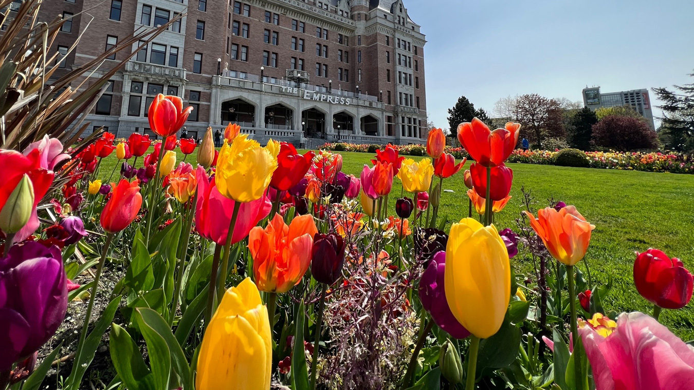 Victoria BC Mother's Day