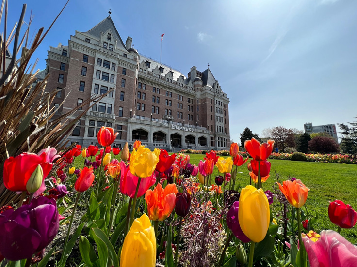 Victoria BC Empress Hotel Flowers