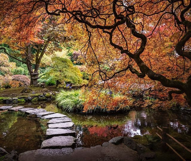 Watch as The Gardens transform throughout Autumn. Credit: The Butchart Gardens