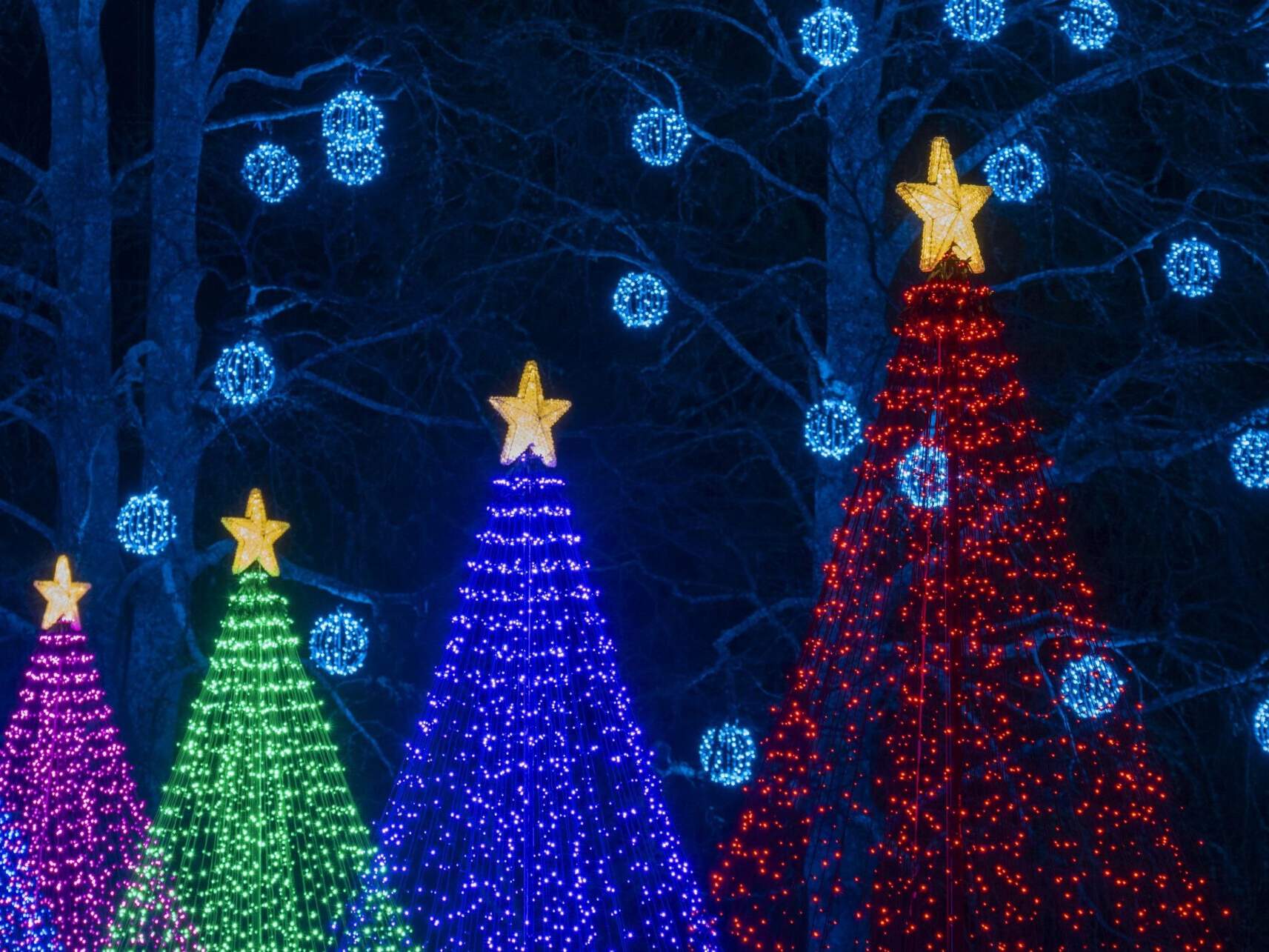 Magic of Christmas at Butchart Gardens