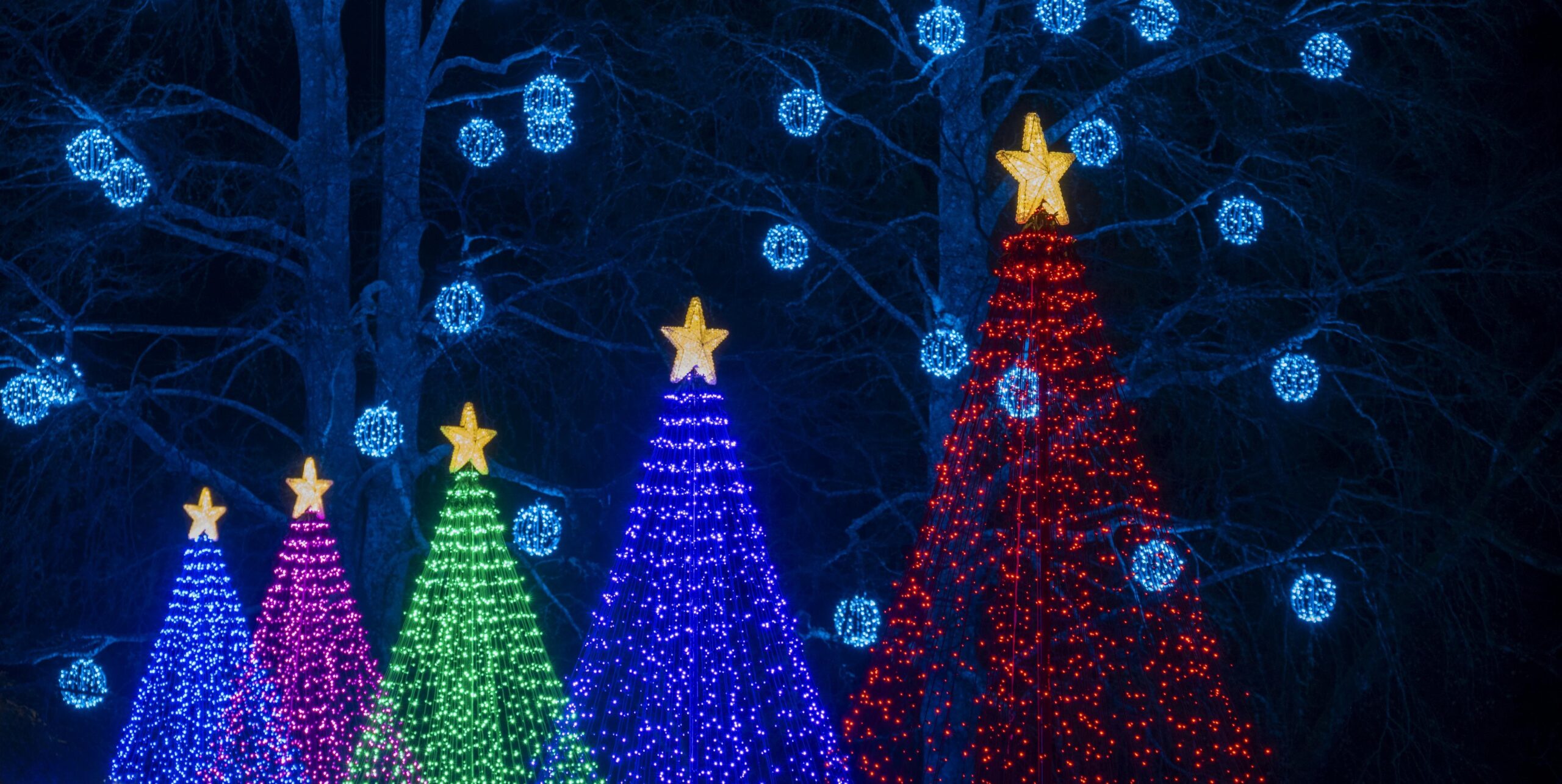 Magic of Christmas at Butchart Gardens