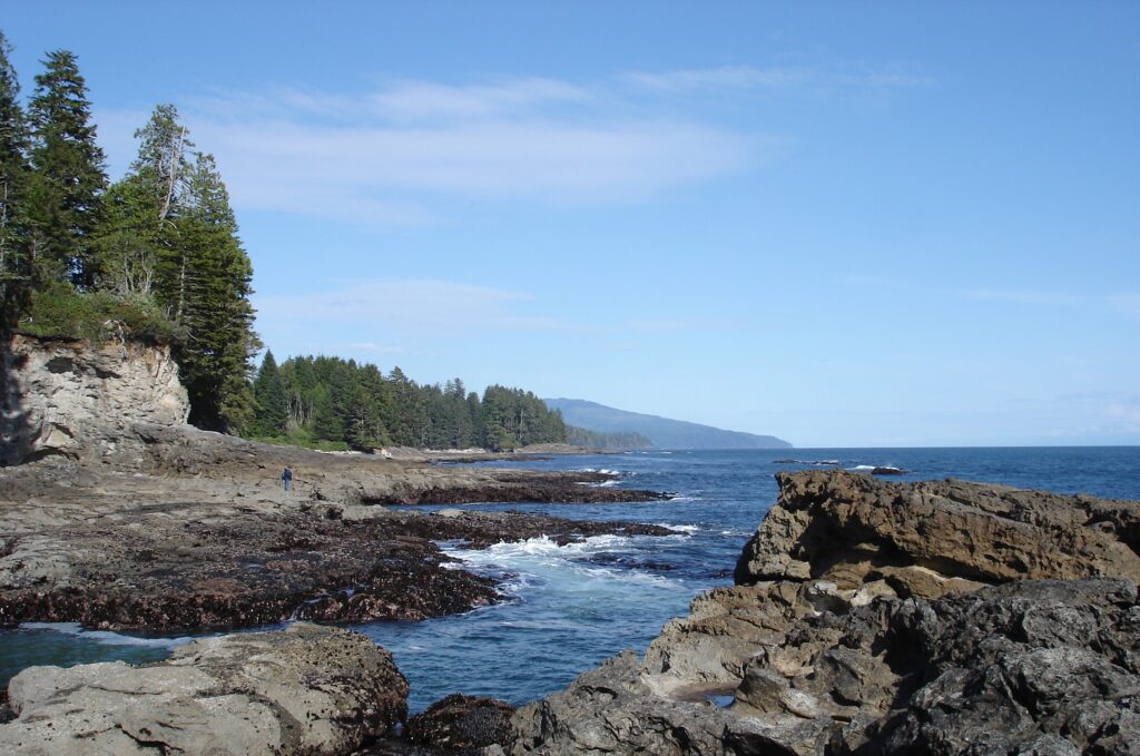Discover Botanical Beach BC, how to get there and more