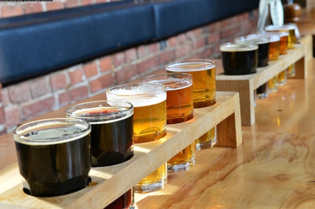Relax as you sip on a sample of sudsy brews. Photo: West Coast Brewery Tours