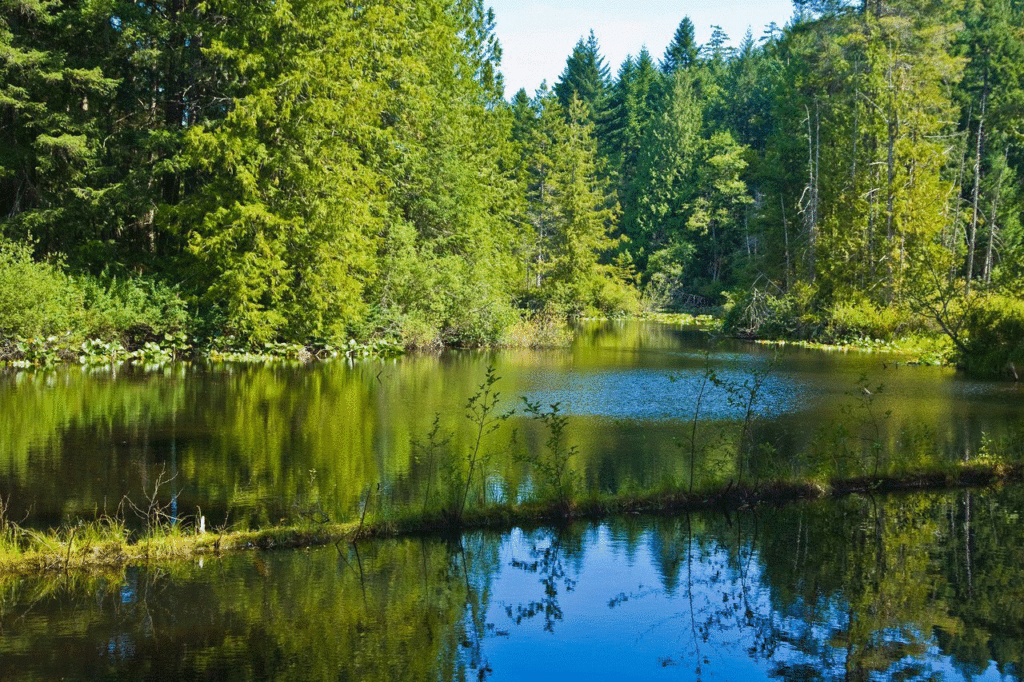 Five small lakes dot the landscape around the park. Photo: Province of British Columbia