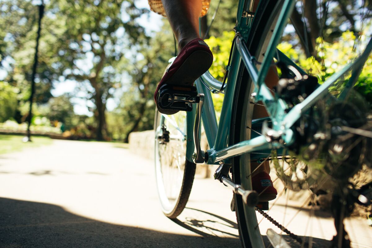 The lush Beacon Hill Park is brimming with wildlife as well as quiet spots for a picnic. Photo: Lucas Anderson