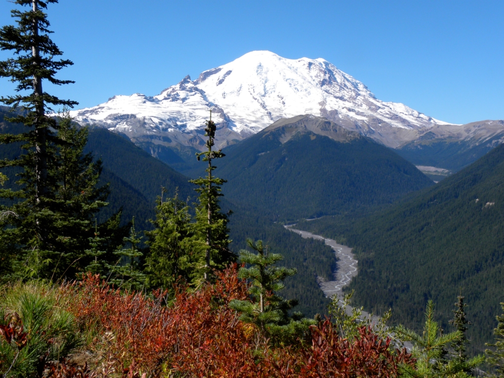 Bright red huckleberry bushes add a burst of color to Mt. Rainier's alpine meadows. Photo: Peter Stevens