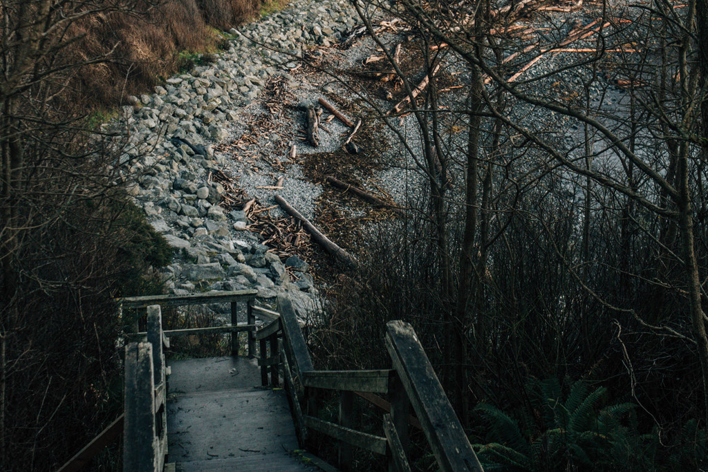 Head down to the waterfront near Beacon Hill Park to take a look at the tide pools or just bring down some brews to share with friends. Photo: Danny Owens
