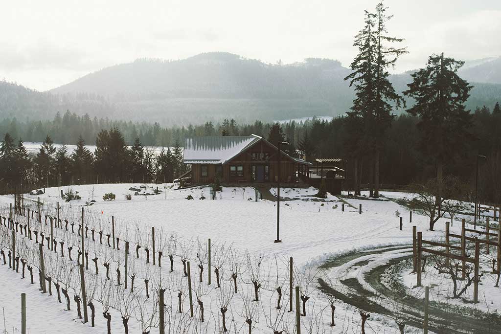 Blue Grouse's oldest oldest vines are found closest to the tasting room while the newer vines lie to the west of the property. Photo: Nick Bentley