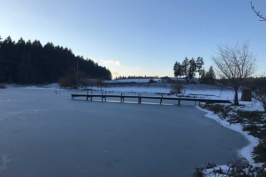 Enrico Winery is also home to a gorgeous pond that is well-stocked with trout. Photo: Brenna Ciummo