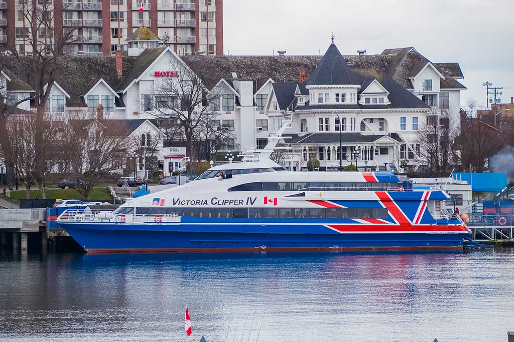 The Victoria Clipper IV cruises smoothly through the Inner Harbour. Photo: Kusum Basavaraju