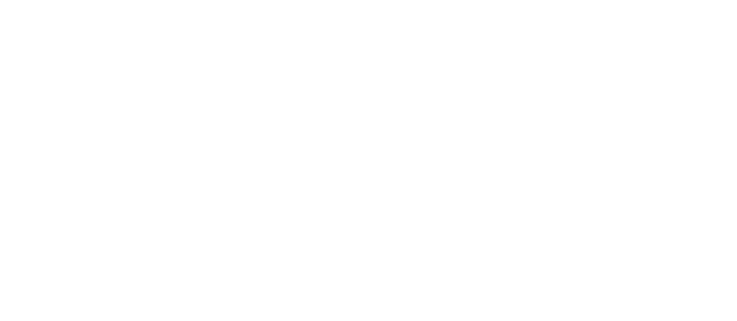 American Society of Travel Advisors