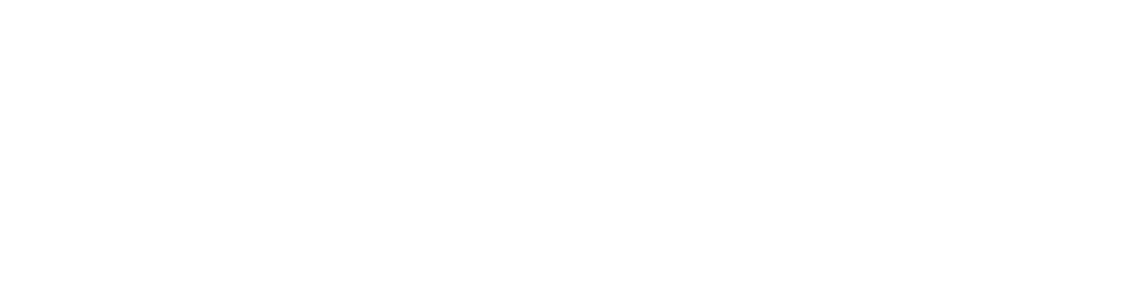 FRS Clipper Logo