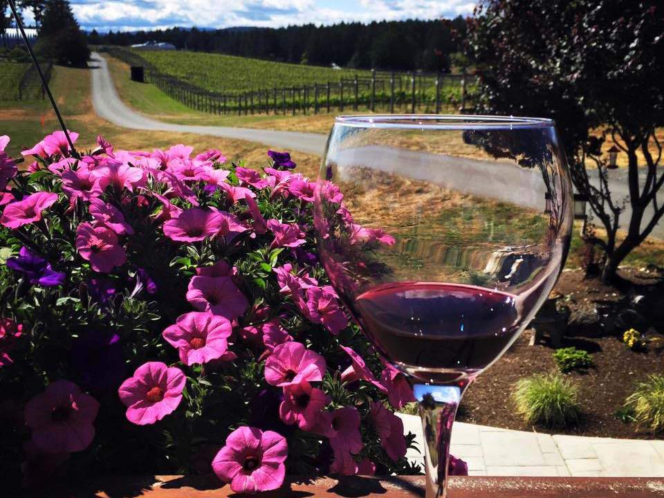 Sip on award-winning wines in the lush Cowichan Valley.