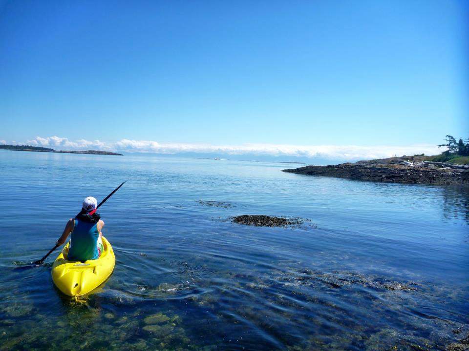 A kayaker paddles through the Salish Sea, 