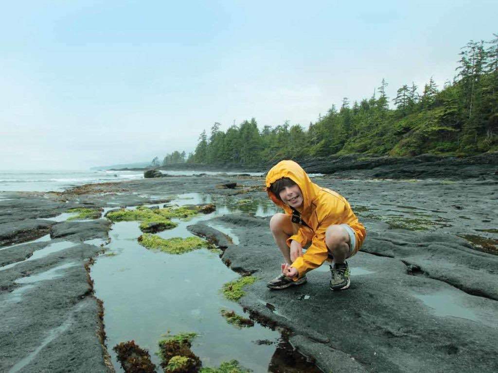A kid peers into tide pools on one of Tofino's beaches.