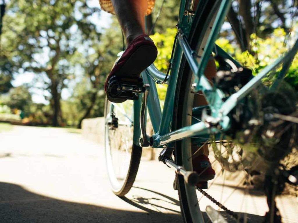 Bike along the scenic Galloping Goose Trail.