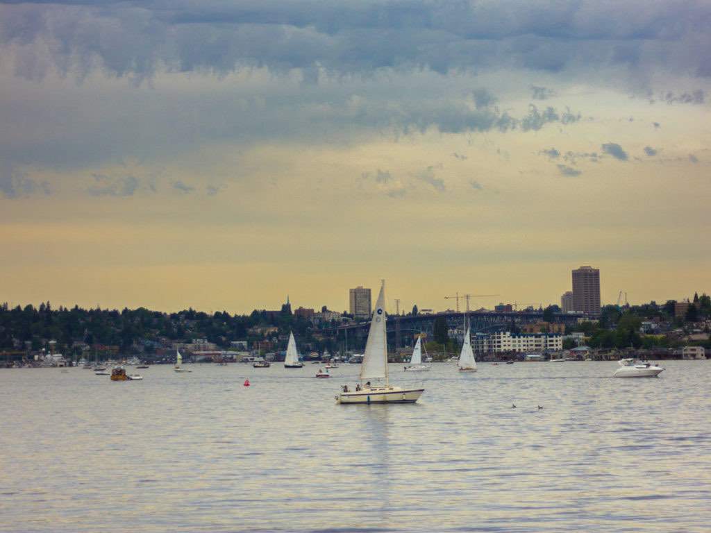 Sailboats glide through Lake Union.