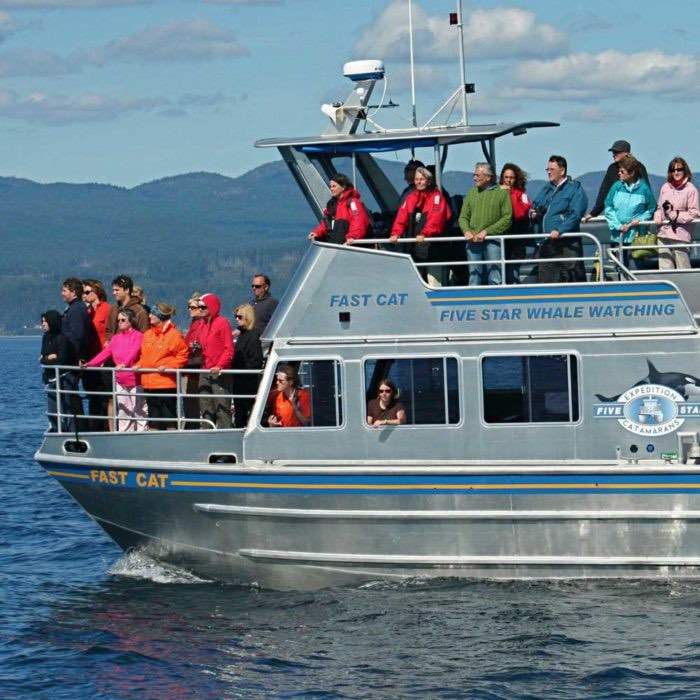 whale watching cruise from seattle