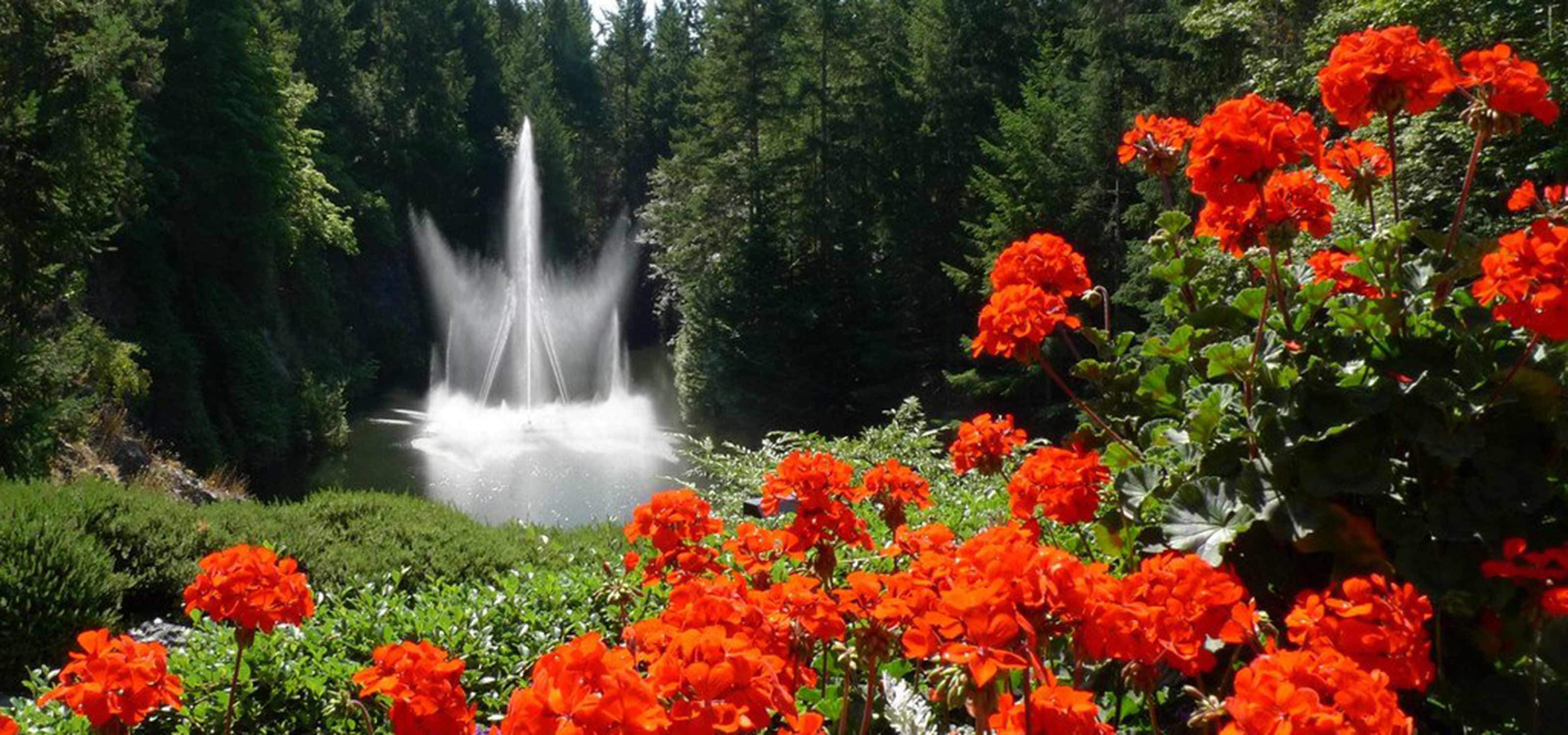 Portland Or To Victoria Bc Summer Package Clipper Vacations
