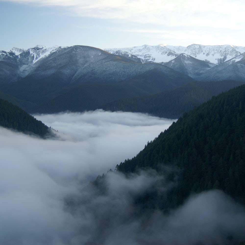 Olympic National Park Day Tour