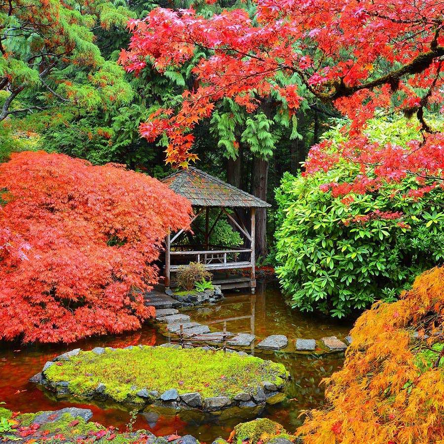 Seattle To Victoria Overnight & Butchart Gardens Tour Clipper Vacations