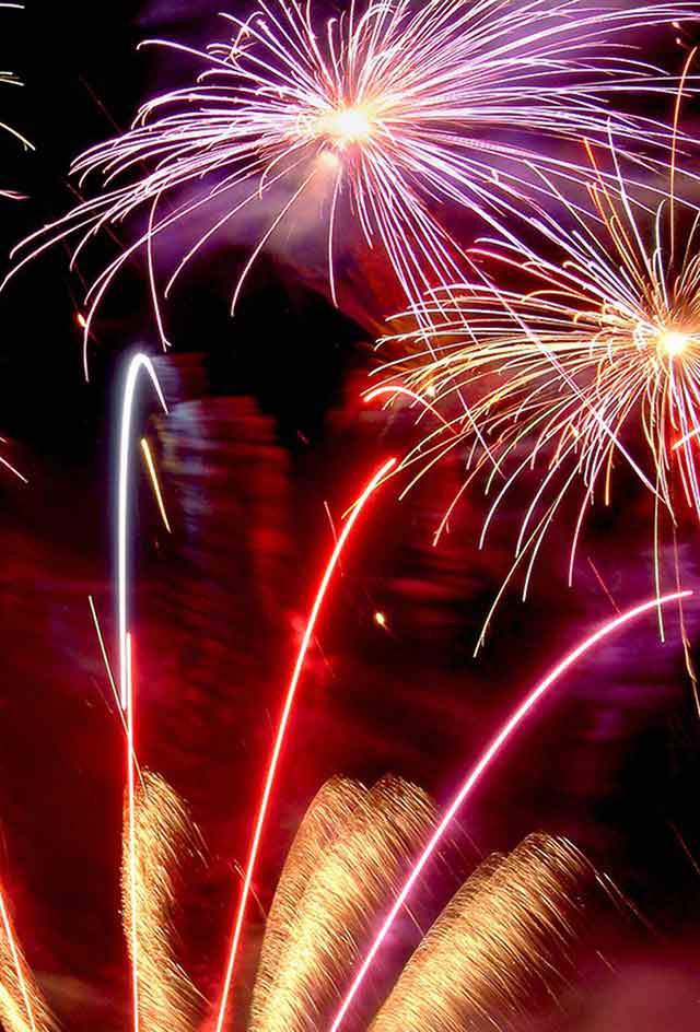 Seattle to Victoria Overnight with Butchart Gardens Night Illuminations Tour