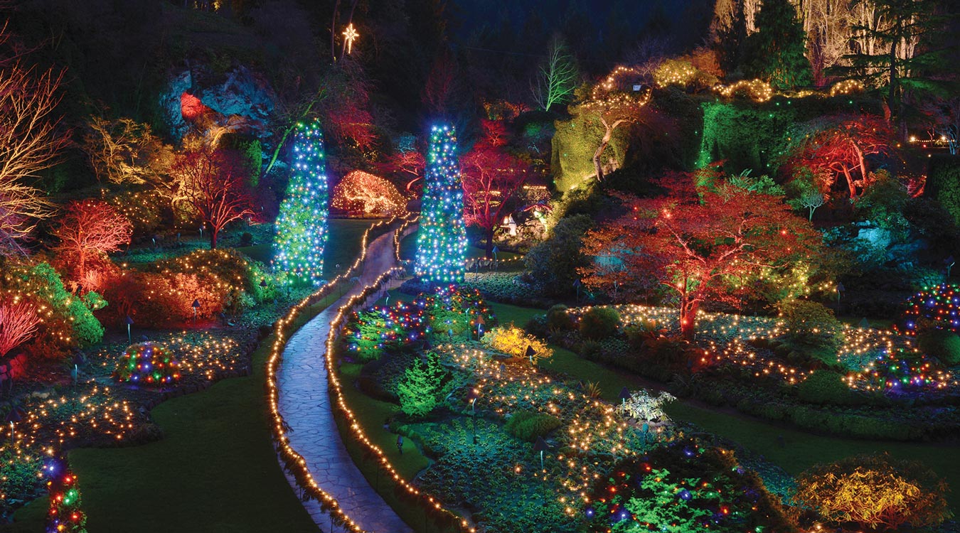 Butchart Gardens Christmas Lights Package Clipper Vacations