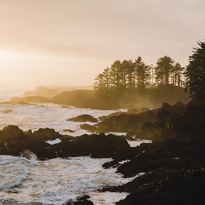 2-Night Vancouver Island Road Trip