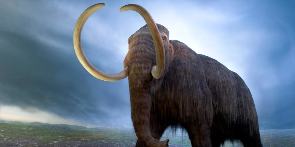 Seattle to Victoria Day Trip with Royal BC Museum