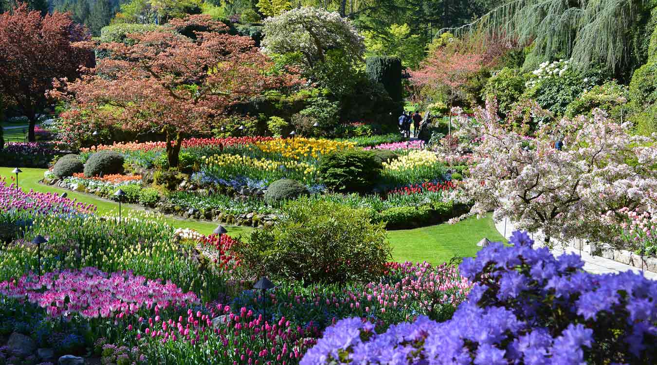 butchart gardens | day trip packages | clipper vacations