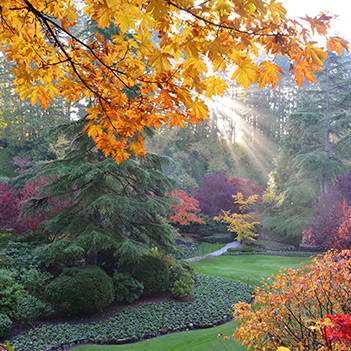 Victoria Overnight with The Butchart Gardens