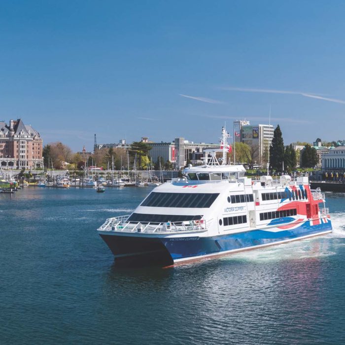 Funnest Summer Ever: Save 40% on Two Whale Watching Tickets with Your Seattle – Victoria Round Trip