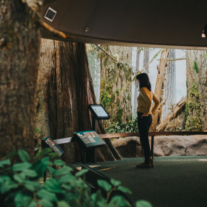 Seattle to Victoria Day Trip with Royal BC Museum