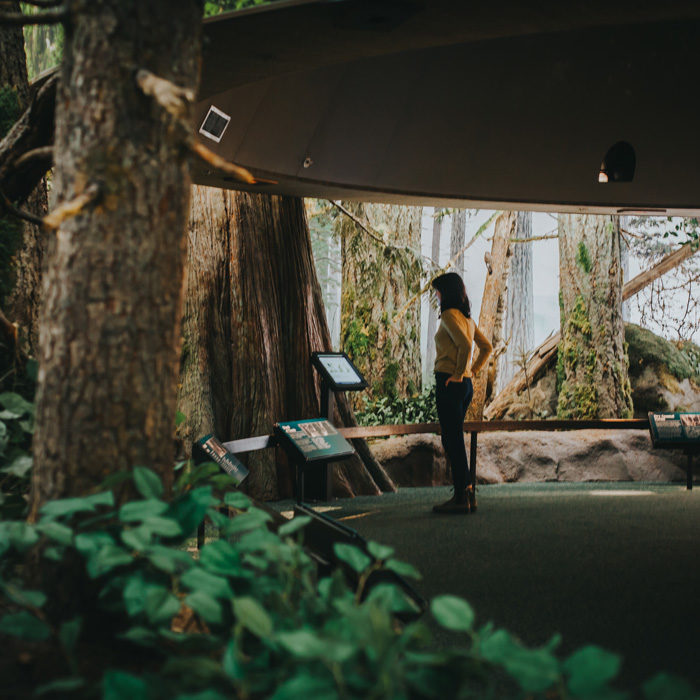 Seattle To Victoria Overnight With Royal BC Museum