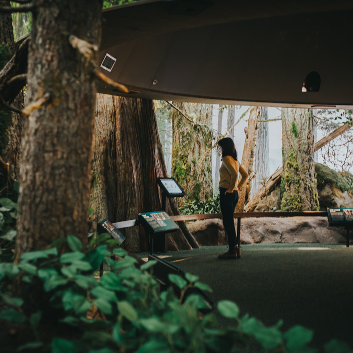 Seattle To Victoria Overnight With Royal BC Museum