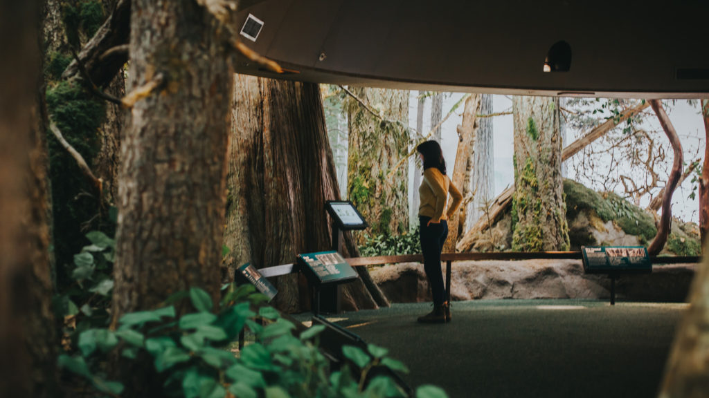 Seattle To Victoria Overnight With Royal BC Museum