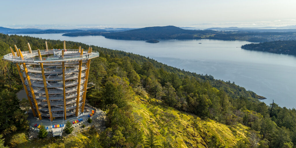 Seattle To Victoria Overnight With Malahat Skywalk Tour