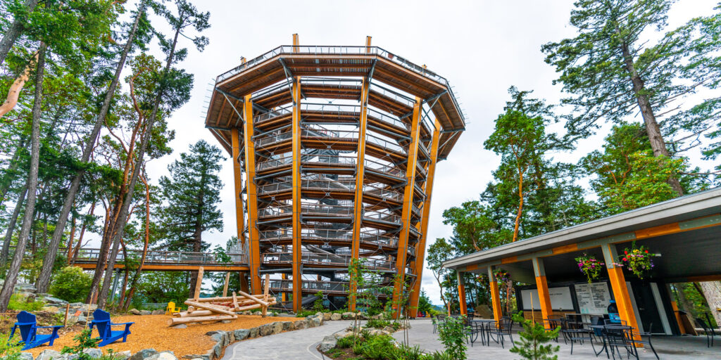 Seattle to Victoria Day Trip with Malahat Skywalk Tour